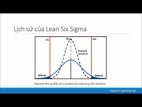 Video: Lợi ích của đội quân quy trình Six Sigma là gì?