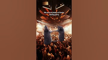 34-Better together 👯‍♀️ #pacha #ibiza #party #closi7423699635350375713.mp4