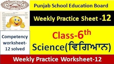 pseb competency based paper class 6th science worksheet 12 test  6th class science weekly sheets