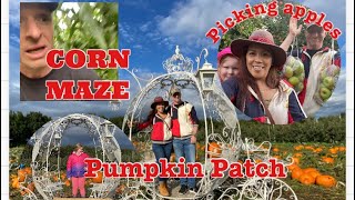 PUMPKIN PATCH/ CORN MAZE/APPLE  PICKING @ APPLE BARN FARM #pumpkinpatch #cornmaze #applebarnfarm