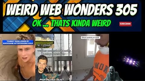 weird web wonders 305