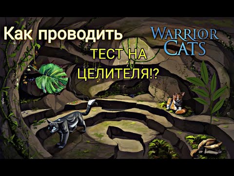 Как проводить тест на ЦЕЛИТЕЛЯ В КОТАХ ВОИТЕЛЯХ ROBLOX ?!