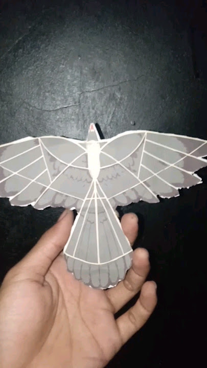 bikin layangan burung Garuda terkecil di dunia dari Indonesia
