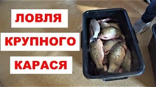 Ловля КАРАСЯ осенью