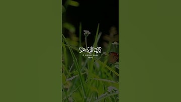 إن الله وملائكته يصلون على النبي | بصوت الشيخ احمد العجمي قرآن كريم حالات واتس اب دينية🌷