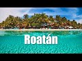 🇭🇳 ROATÁN, el Caribe mas bello del mundo en Honduras