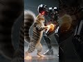 CAT AND ROBOT SHOW OFF🤖✨ | NextGenZ Toons