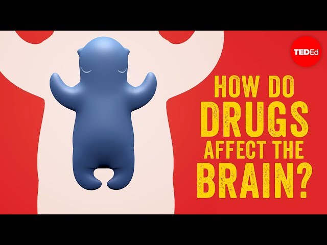 How Do Drugs Affect The Brain