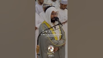 سورة الزلزلة Surah Az Zalzalah #عبدالولي الاركاني #abdulwali alarkani   Al Sheikh Abdulwali Alarkani