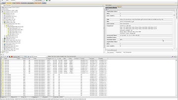 FTK Movie   Module 5   Viewing index dat Entries