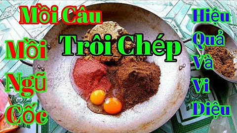 Câu Cá TV || Mồi Chuyên Câu Cá Trôi, Chép,Trắm, Mồi Ngũ Cốc! Nhí CuTe