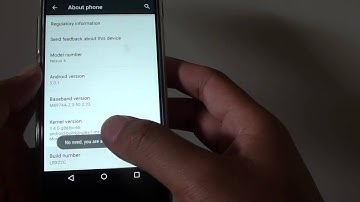 Google Nexus 5: How to Enable / Disable Developer Options