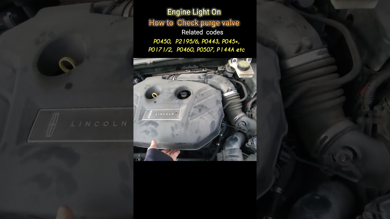 Engine Light, P1450, P045X, P2196, Evap purge valve stuck , How to
