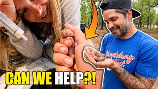 Baby EMERGENCY! I Can't Believe We Found This Many To Rescue!!