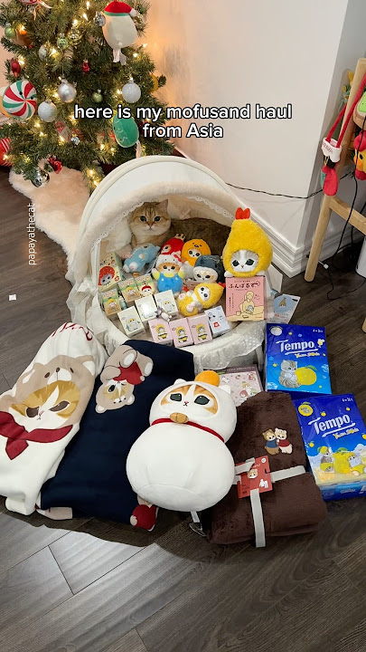 Come to the mofusand store with me in Japan #cat #japan #mofusand