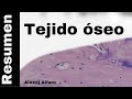 Tejido Óseo (resumen) (Histología De Ross 7a Edición)