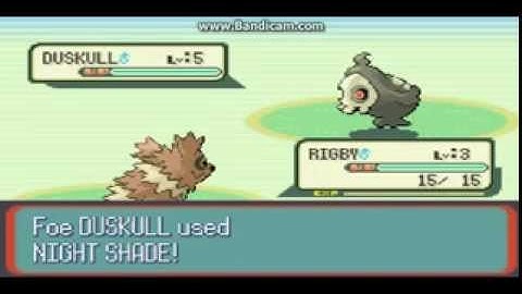 Pokemon Sapphire ROM hack Mistake