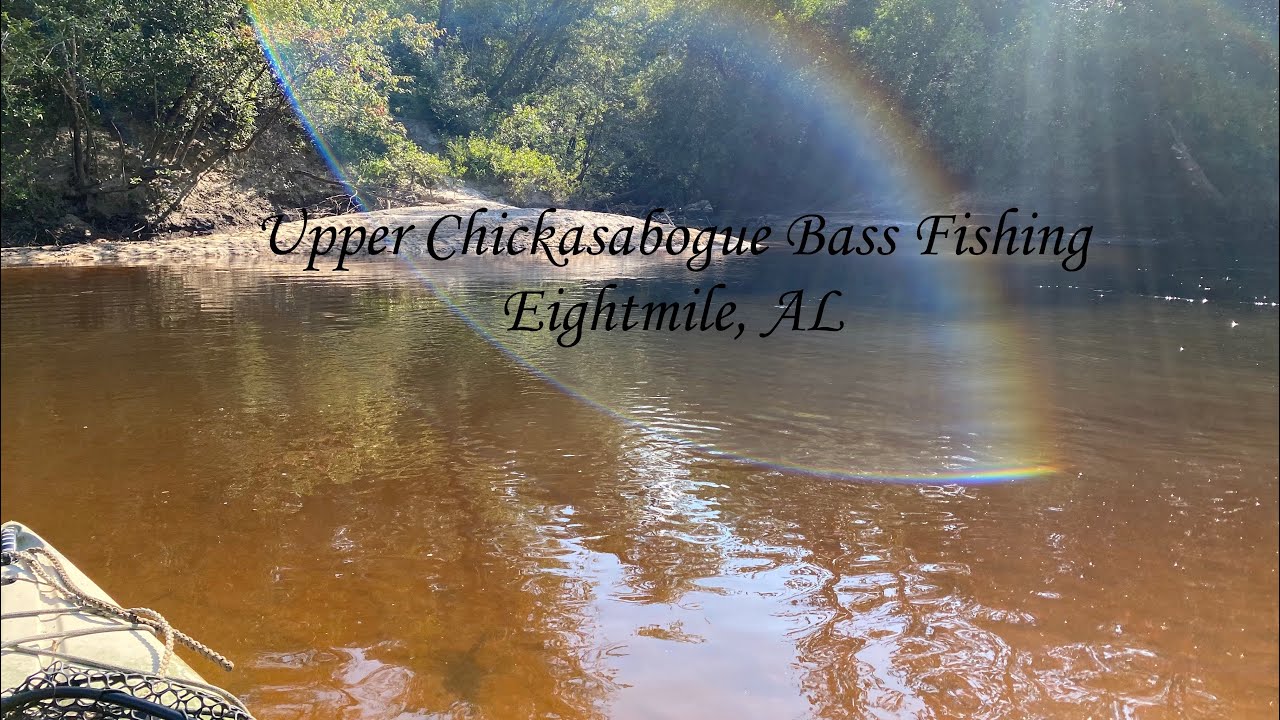 Upper Chickasabogue Summertime Bass Fishing Eightmile, AL