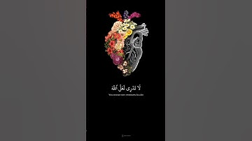 لَا تَدْرِي لَعَلَّ اللَّهَ يُحْدِثُ بَعْدَ ذَلِكَ أَمْرًا || القارئ رعد الكردي || من سورة الطلاق