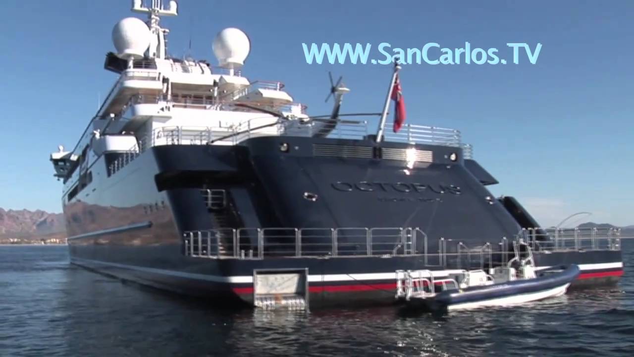 San Carlos Tv Video Of The Week Octopus Mega Yacht