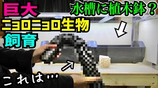 New Series] Making a Giant Squiggly Fish Tank! Part 1 - YouTube