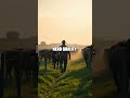 Angus Wealth Hack! 🐂✨