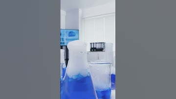 Molecular Morphers: DNA-Powered Shape-Shifting Gels!