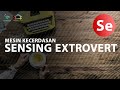 Sensing extrovert | Apa sih Sensing extrovert itu?