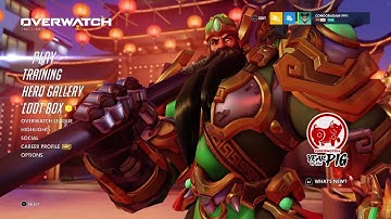 Overwatch |Year of the Pig|