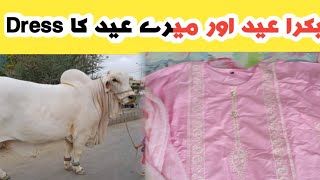 My Bakra Eid Dress 2023Eid Dress Design 2023My Eid Outfit
