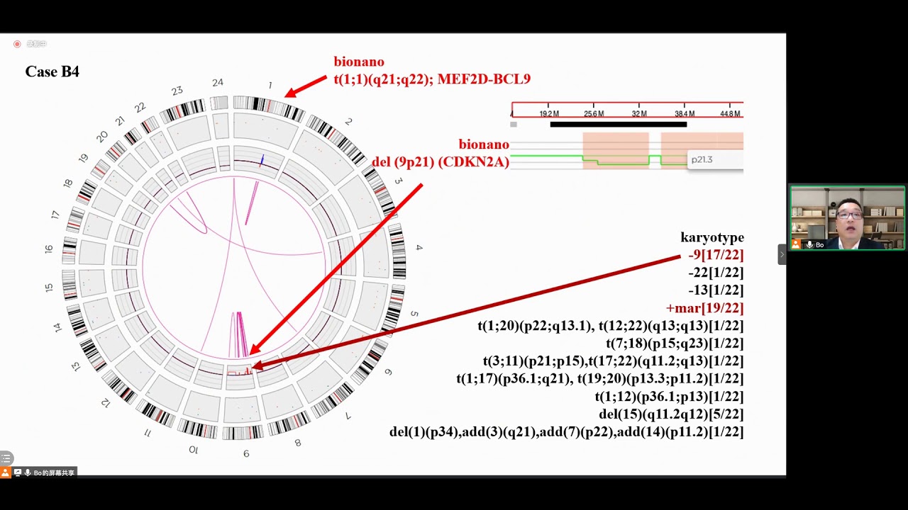 Bionano Optical Genome Mapping to Decipher Genomic Structure Variations