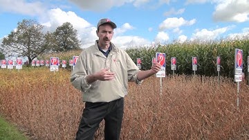 The System Approach to Growing Soybeans - Steve Denys, Pride Seeds