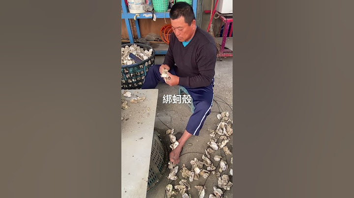 養蚵仔 綁蚵殼