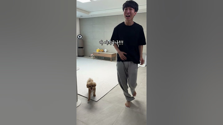 이사 온 시각장애인 아빠 길 알려주는 천재견 #시트콤