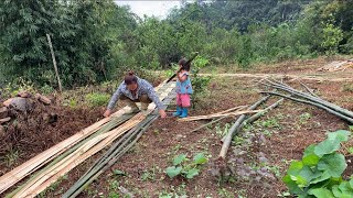 Mother and daughter go to cut down bamboo trees to fence the vegetable garden#@maixoa4651