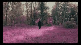 10. Lui5 - PAREDES (feat. Gabriel Drago) [Official Video] | LA EXTINCIÓN