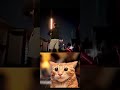 xd