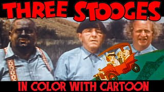 The Color Three Stooges - Faln Belt And Ep 07 There Auto Be A Law