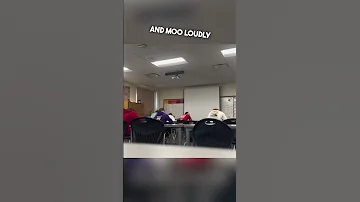 This High School Teacher Tricked Her Students 