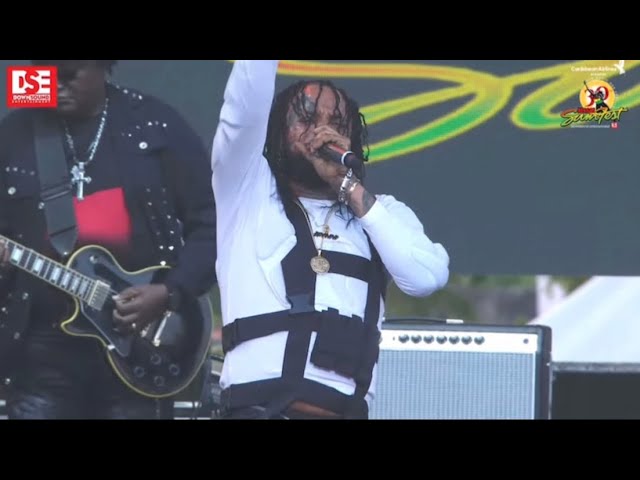 Tommy Lee Got Emotional At Reggae Sumfest 2023😢