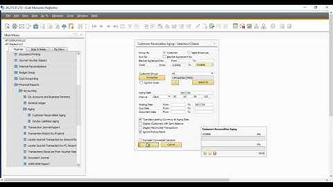 How to see due invoices and total due from one customer in SAP B1