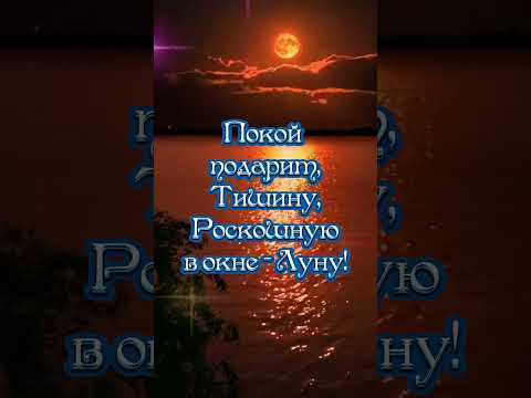 Добрый вечер Красивоепожелание#музыкальная#поздравления#добрыйвечер#красиваямузыка#пожелание#shorts