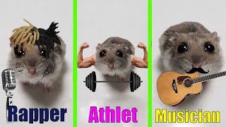 Sad Hamster Everytime with more proffessions 4