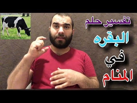 فيديو: لماذا تحلم البقرة