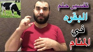 هل تعلم !ماهو تفسير حلم البقره في المنام وعلاقته بحياتك الأسريه وتجارتك !