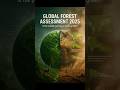 Global Forests 2025 🌳 | UN Report Reveals Deforestation & Tree Saving 🌍