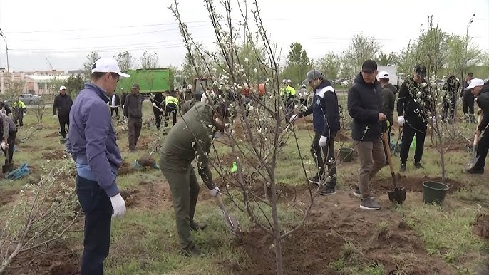 Үлкен сиськи бар толық метражды порно фильмдерді қараңыз