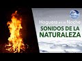 Meditación Sonidos Naturaleza - Hoguera en la Noche