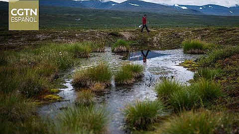 ¿Qué es el código rojo para la humanidad?