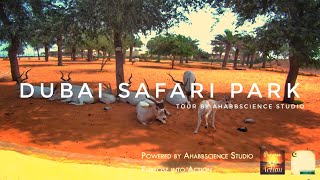 Tour to dubai safari park | shot on thieye t5e